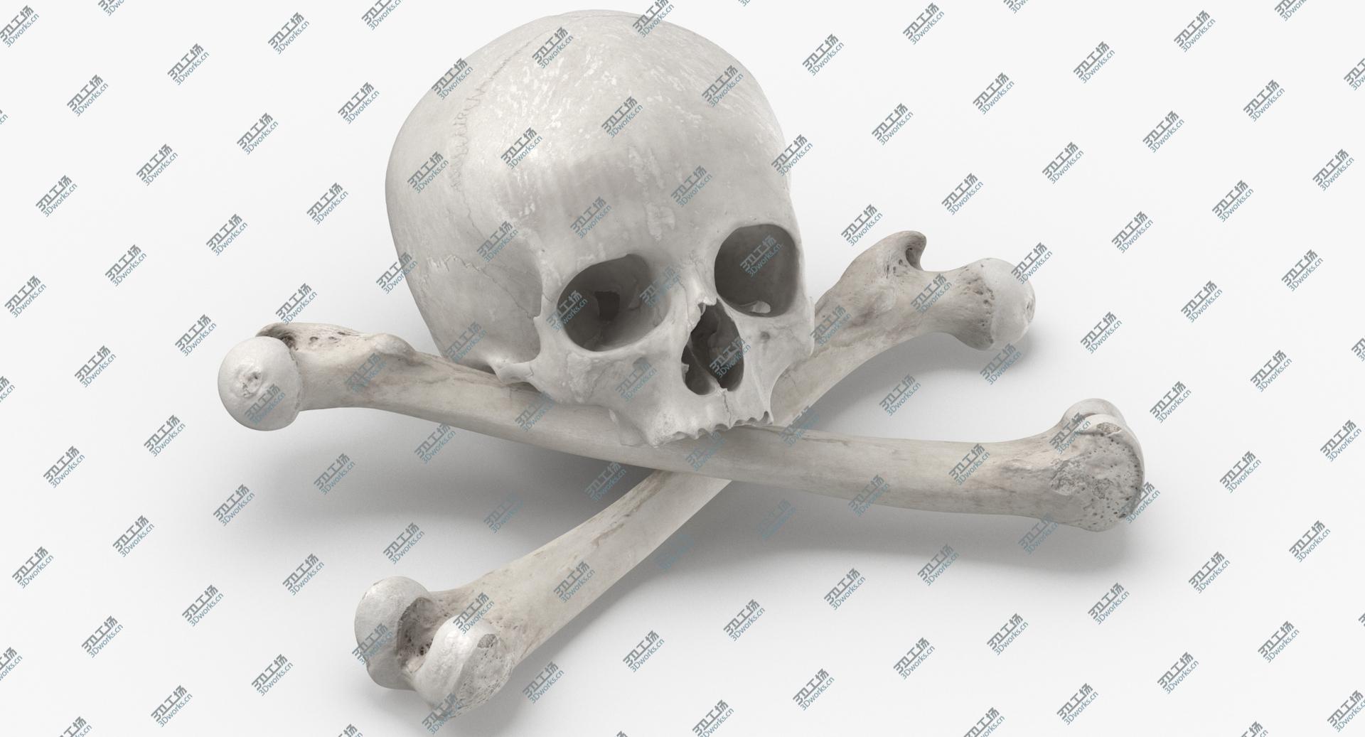 images/goods_img/202104021/3D Pirate Skull and Bones Compostion 01 White/2.jpg